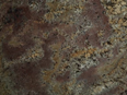 Crema Bordeaux granite