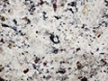 Dallas White granite